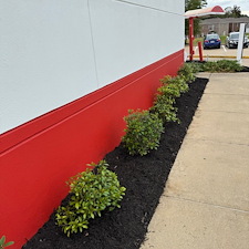 Commercial-Mulching-Services-in-Oxford-MS-and-Surrounding-Areas 4
